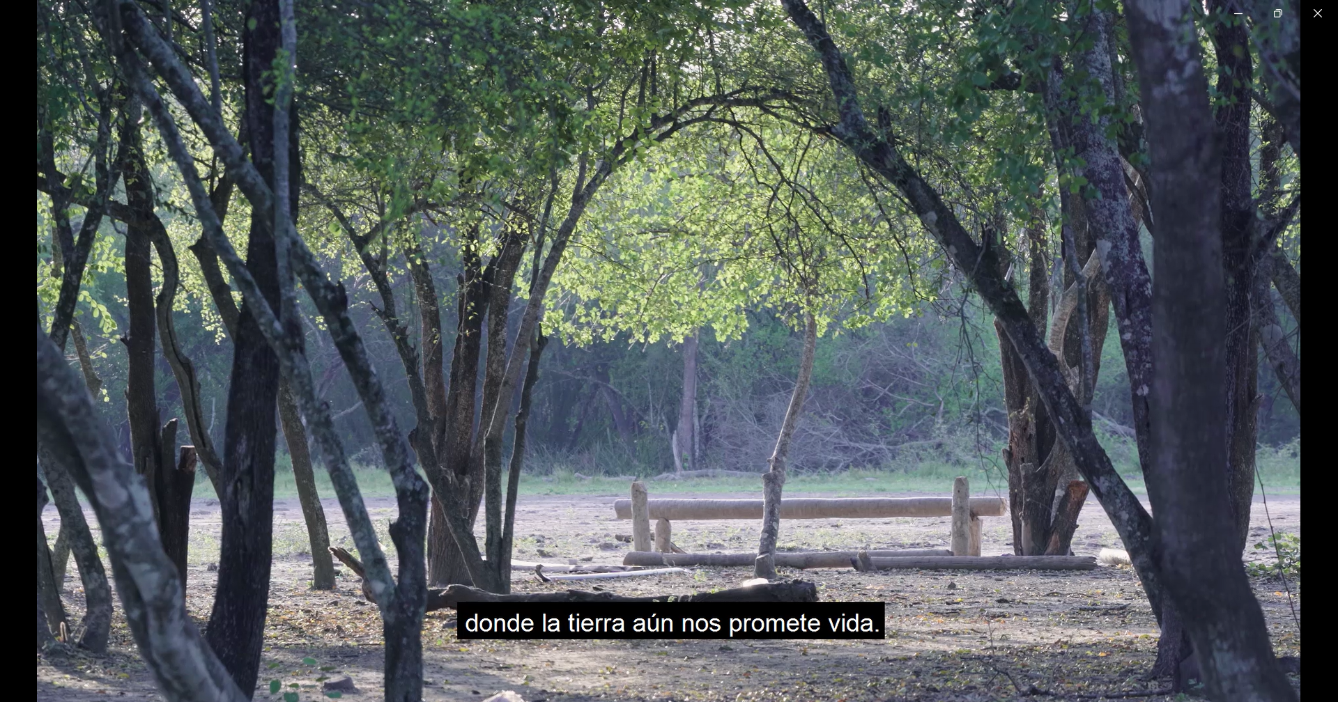 “El territorio que nunca dejaron: memoria y lucha de Tooshe Qáltaq”