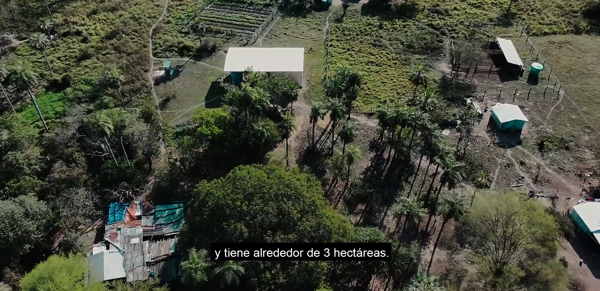 Rodolfito: resistir para no desaparecer