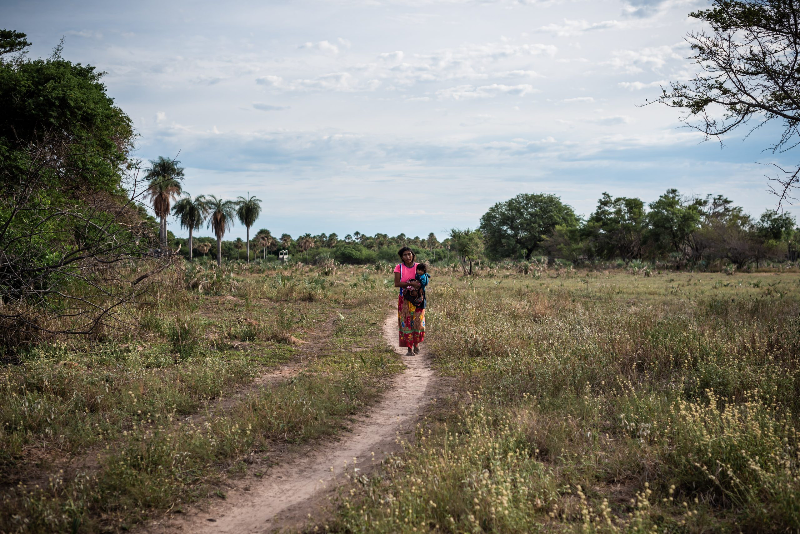 Cambios en el régimen de tierras ponen en riesgo los derechos de los Pueblos Indígenas
