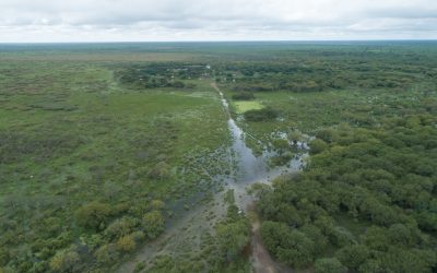 Niño muere por falta de asistencia en el Chaco