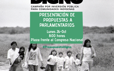 Articulación Indígena por una Vida Digna presentará propuesta al Congreso