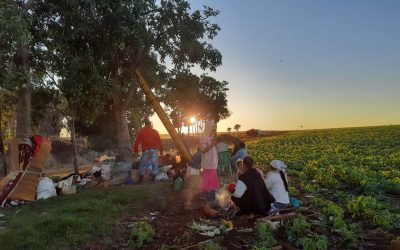 “Ola de violencia contra comunidades apunta a convertirse en un exterminio de la población Indígena”