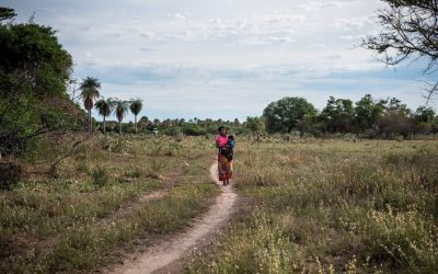 Día de los Pueblos Indígenas: La disputa por el territorio chaqueño pone en riesgo a sus habitantes tradicionales