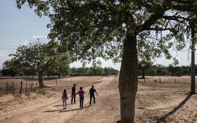 Tierraviva exhorta a Diputados a rechazar explotación de Médanos del Chaco
