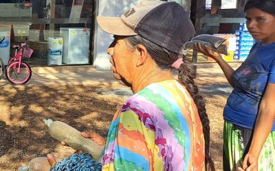 Reclamo indígena sobre documentación