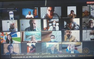 Organizaciones indígenas participan de Audiencia Pública