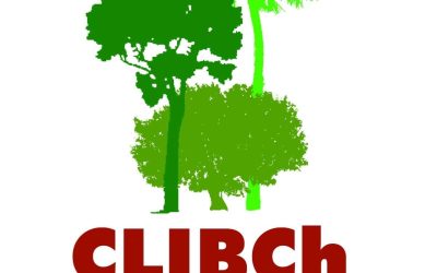 Líderes Indígenas piden que el gobierno designe a personas idóneas en el INDI