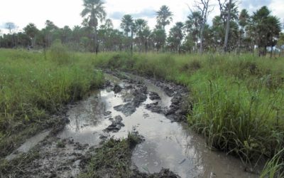 Con ley de expropiación buscan que comunidades indígenas accedan a caminos