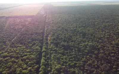 Los derechos no son una amenaza para el desarrollo.