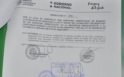 Certificación de bosques, oportunidad para mejorar condiciones de vida indígena