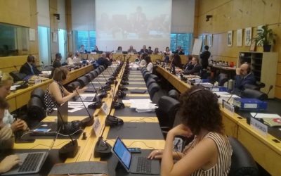 Comité de Derechos Humanos de la ONU manifiesta su preocupación por la situación de Pueblos Indígenas en Paraguay.