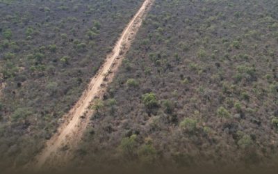 Médanos del Chaco: territorio ancestral indígena