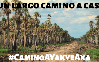 Diputados tratará este miércoles proyecto de expropiación para el camino a Yakye Axa