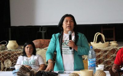 Violencia hacia la mujer no hace a la cultura e identidad indígena