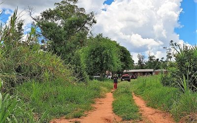 Reparación de camino, principal reclamo indígena