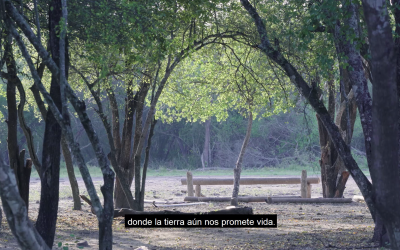 “El territorio que nunca dejaron: memoria y lucha de Tooshe Qáltaq”