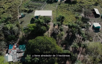 Rodolfito: resistir para no desaparecer