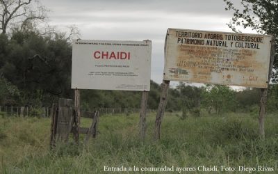 Cuando el ayoreo y el tagua eran felices