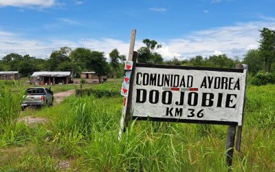 Riquezas naturales del pueblo ayoreo en peligro
