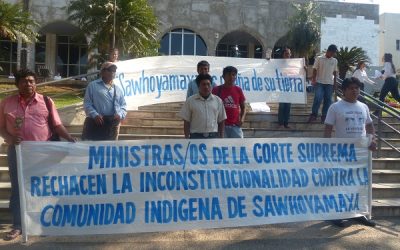 Como Amicus Curiae alegan a favor de abogada y defensora de derechos humanos