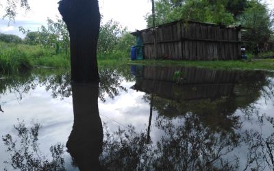 Comunidades indígenas del Bajo Chaco en emergencia por lluvias.
