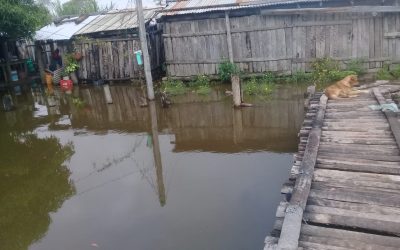 BAJO CHACO EN EMERGENCIA