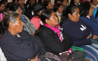 Realizan taller sobre Derechos Humanos, Pueblos Indígenas y Género