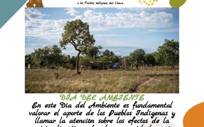 Día del Ambiente: Pueblos Indígenas, entre la defensa medioambiental y la crisis climática