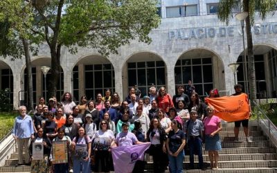 Tierraviva presenta acción de inconstitucionalidad contra la Ley N° 7363/24 y su reglamentación