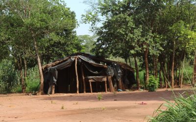 Para el Presidente las comunidades indígenas pueden esperar pero para las comunidades esto significa más exclusión y pobreza