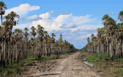 “Ahora que reviven las obras del camino, reviven también nuestras esperanzas”