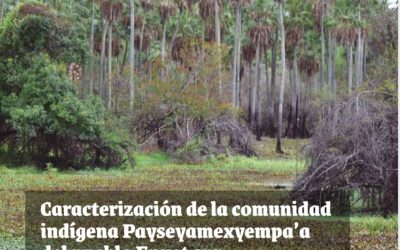 Preocupación indígena por invasión de sus tierras