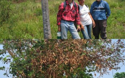 Justicia para la Comunidad Indígena Naranhaty