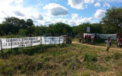 Travesía al país donde viven los loros