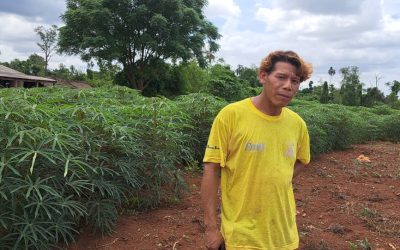 Indígenas agricultores