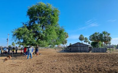 “María Elena”, comunidad indígena Tomaraho aislada