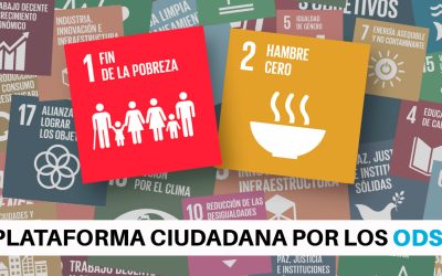 Organizaciones buscarán mejorar políticas de protección social