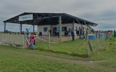 Tierras indígenas están siendo deforestadas.