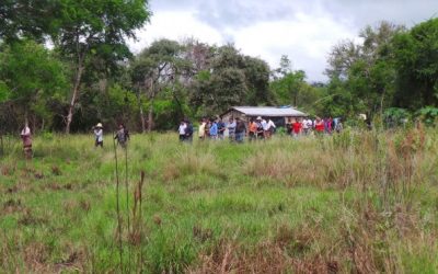 Senadores prometen apoyo a indígenas