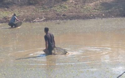 La falta de asistencia obliga a indígenas a pagar precios elevados por agua