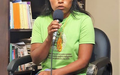 “Instituciones públicas no dan participación a mujeres indígenas”