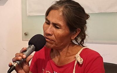 Artesanía indígena en peligro ante escases de materia prima