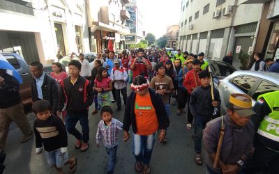 La coerción como política pública impropia