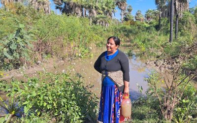Indígenas beben agua de charcos