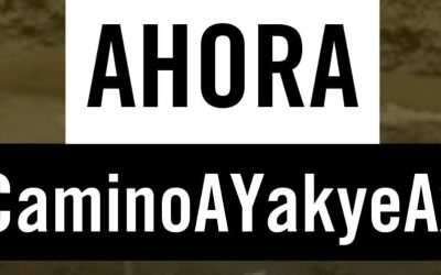 Corte IDH volverá a evaluar al Estado ante sentencias incumplidas