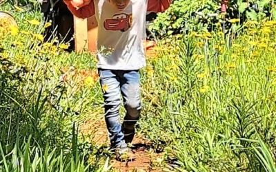 Indígena productor agrícola