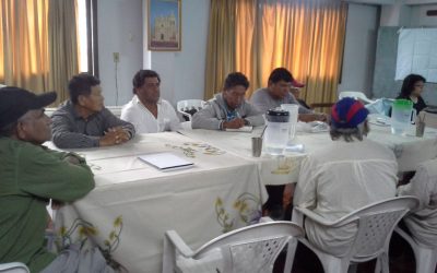 Indígenas presentarán a la OEA situación de sus comunidades