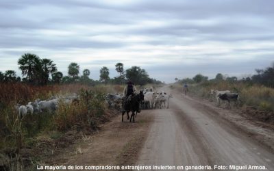 El remate de las tierras chaqueñas