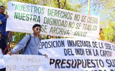 A un año del cierre del INDI