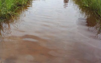 Desesperación indígena en La Patria por inundación